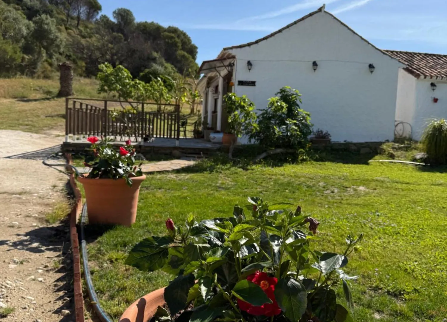 La Aldea De Finca Santa Teresa, Casa La Higuera Casares Chalet